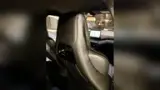 BYD Dolphin Mini - Miniatura 8