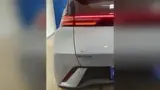 BYD Dolphin Mini - Miniatura 6