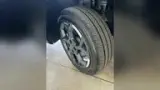 BYD Dolphin Mini - Miniatura 11