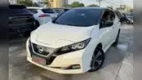 Nissan Leaf - Miniatura 1