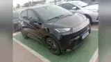 BYD Dolphin Mini - Miniatura 2