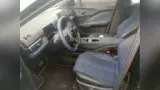 BYD Dolphin Mini - Miniatura 5
