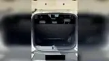 BYD Dolphin Mini - Miniatura 3