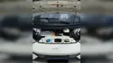 BYD Dolphin Mini - Miniatura 6