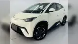 BYD Dolphin Mini - Miniatura 3