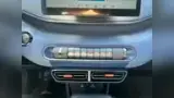 BYD Dolphin Mini - Miniatura 12
