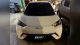BYD Dolphin Mini - Miniatura 1