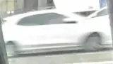 BYD Dolphin Mini - Miniatura 3