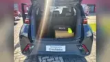BYD Dolphin Mini - Miniatura 7