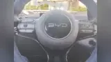 BYD Dolphin Mini - Miniatura 11