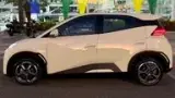 BYD Dolphin Mini - Miniatura 8