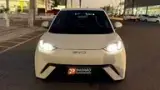 BYD Dolphin Mini - Miniatura 9