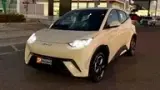 BYD Dolphin Mini - Miniatura 12