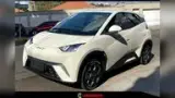 BYD Dolphin Mini - Miniatura 4