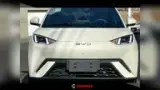 BYD Dolphin Mini - Miniatura 20