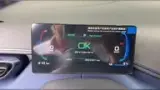 BYD Dolphin Mini - Miniatura 4