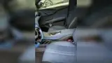 BYD Dolphin Mini - Miniatura 6