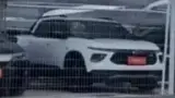 BYD Dolphin Mini - Miniatura 9