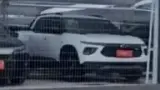 BYD Dolphin Mini - Miniatura 10