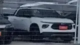 BYD Dolphin Mini - Miniatura 11