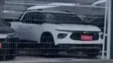 BYD Dolphin Mini - Miniatura 12