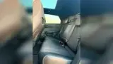 BYD Dolphin Plus - Miniatura 10
