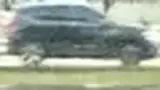 BYD Dolphin Mini - Miniatura 7