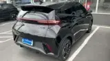 BYD Dolphin Mini - Miniatura 5