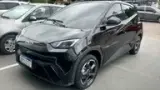 BYD Dolphin Mini - Miniatura 1