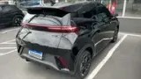 BYD Dolphin Mini - Miniatura 4
