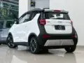 Chery Eq1 - Miniatura 6
