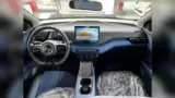 BYD Dolphin Mini - Miniatura 4