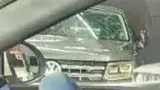BYD Dolphin Mini - Miniatura 8