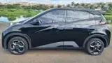 BYD Dolphin Mini - Miniatura 5