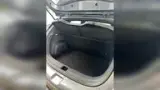 BYD Dolphin - Miniatura 9