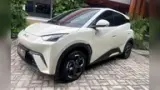 BYD Dolphin Mini - Miniatura 2
