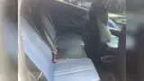 BYD Dolphin Mini - Miniatura 3
