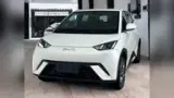 BYD Dolphin Mini - Miniatura 1
