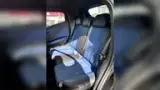 BYD Dolphin Mini - Miniatura 8