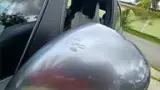 BYD Dolphin - Miniatura 4