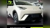 BYD Dolphin Mini - Miniatura 2