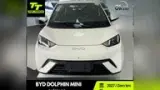 BYD Dolphin Mini - Miniatura 3
