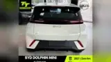 BYD Dolphin Mini - Miniatura 4