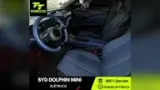BYD Dolphin Mini - Miniatura 6