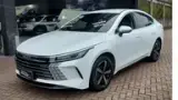 BYD King - Miniatura 3
