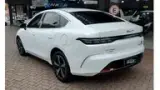 BYD King - Miniatura 4