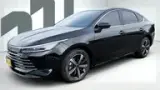 BYD King - Miniatura 1