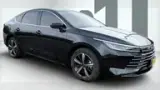 BYD King - Miniatura 2