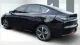 BYD King - Miniatura 5
