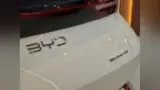 BYD Dolphin - Miniatura 6
